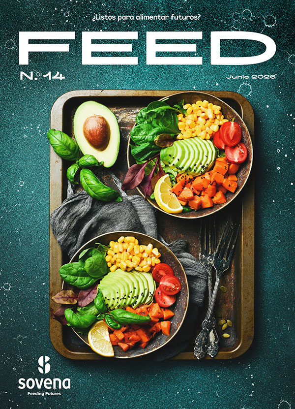 Revista Feed 12