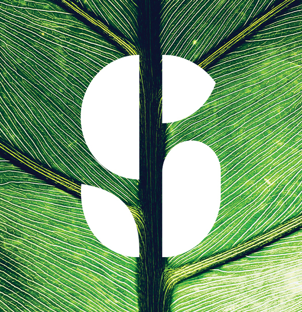 QUEREMOS ALIMENTAR LA SALUD DE LAS PERSONAS Y LA DEL PLANETA