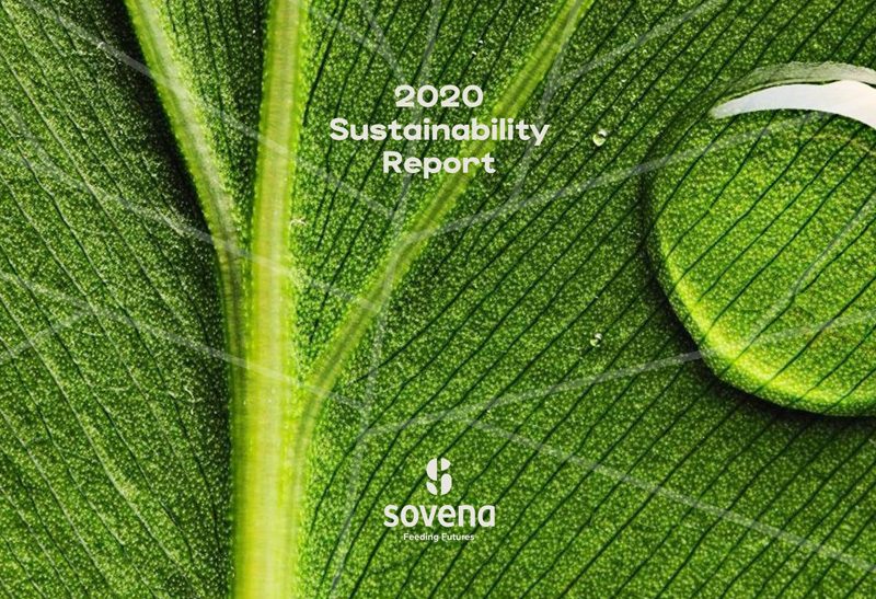 Relatório de Sustentabilidade de 2020