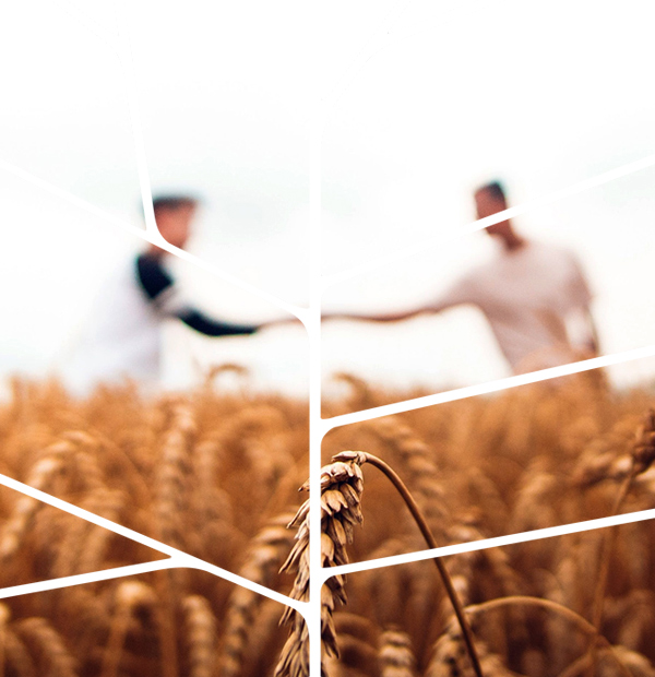 RESPONSABILIDADE SOCIAL