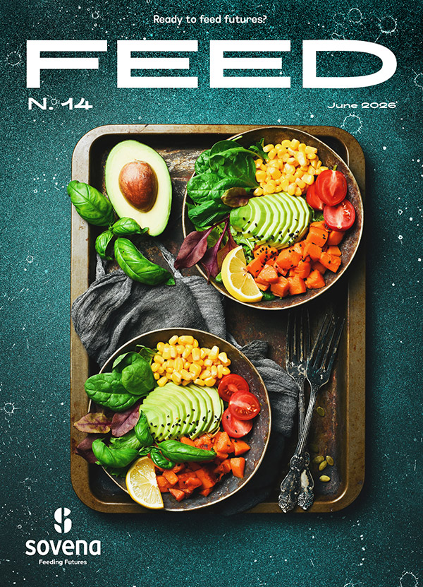 Revista Feed 14