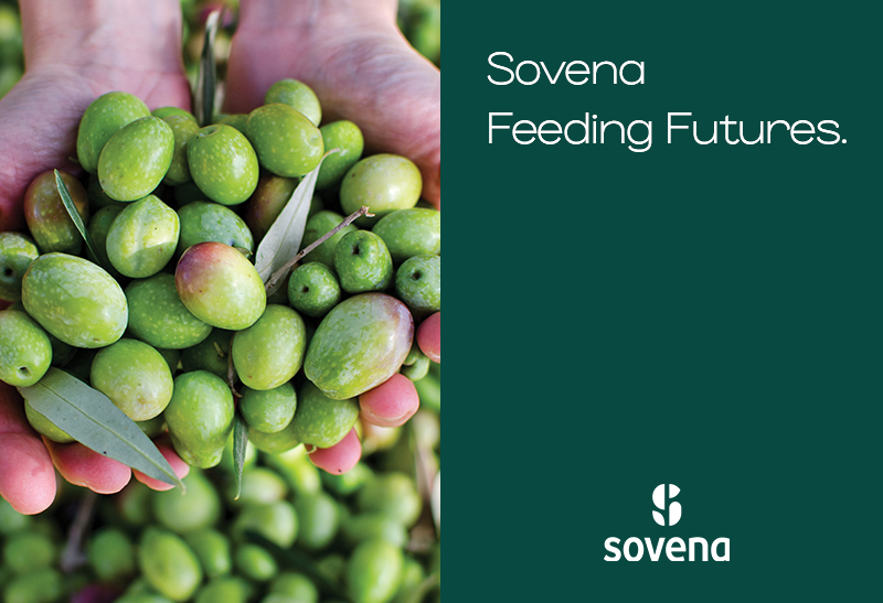 Carta de Ética y Principios de Conducta del Grupo Sovena